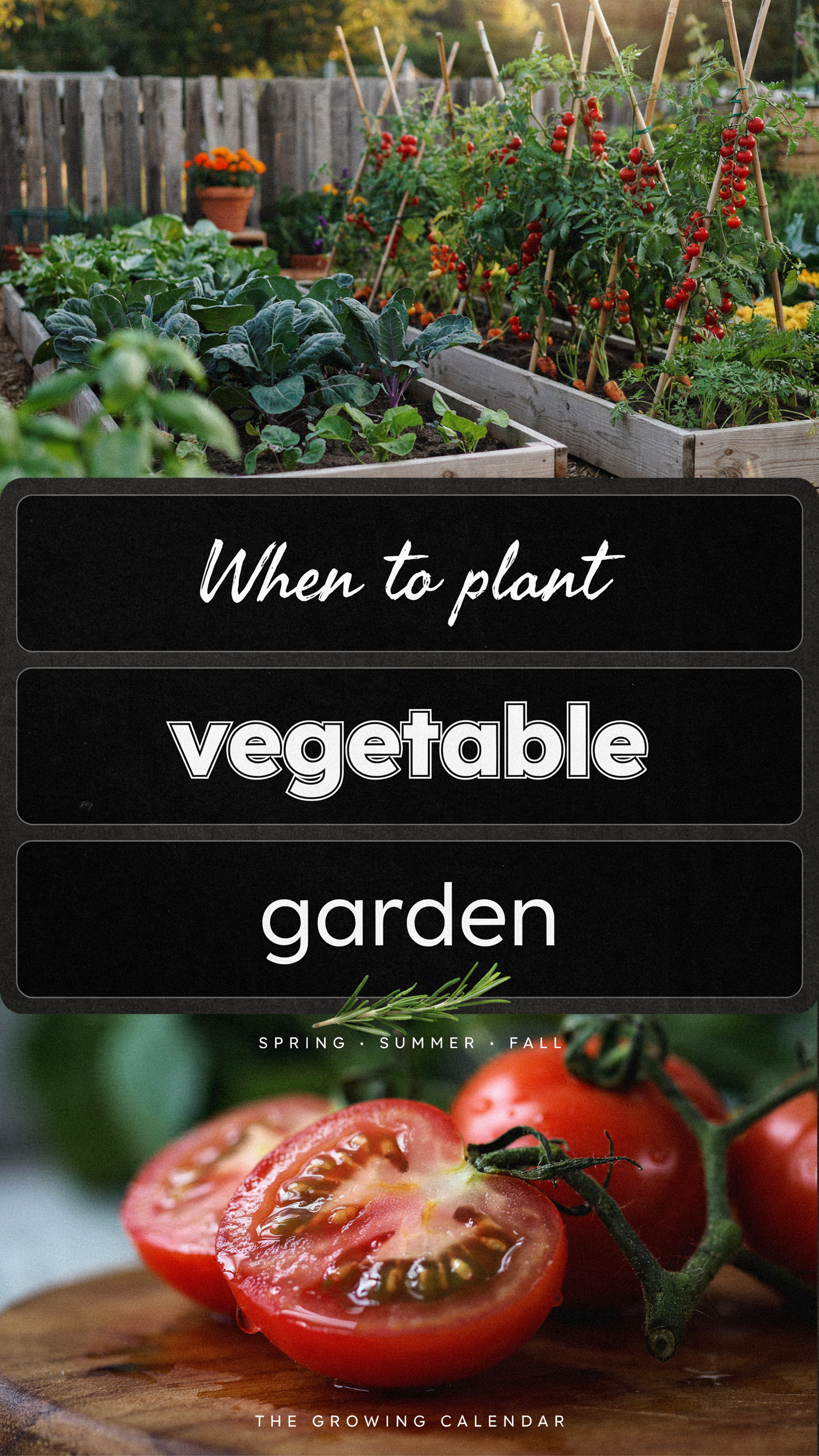 When to Plant Your Vegetable Garden